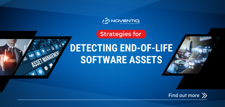 Strategies for Detecting End-of-Life Software Assets 